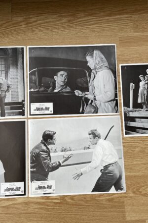 Lot de photos d'exploitation originales de cinéma La fureur de vivre