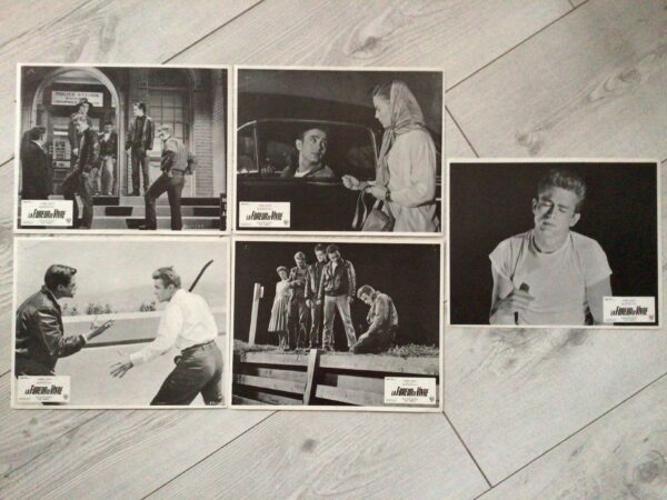 Jeu de photos d'exploitation originales de cinéma La fureur de vivre