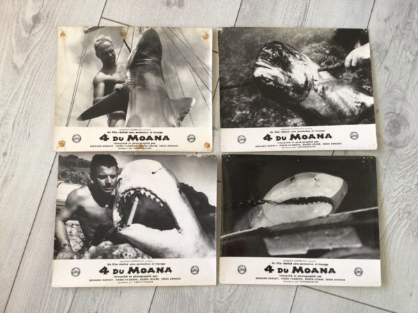 4 du Moana - Image 2