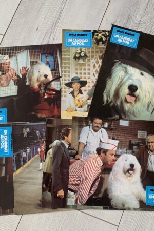 Jeu de photos d'exploitation originales de cinéma Un candidat au poil