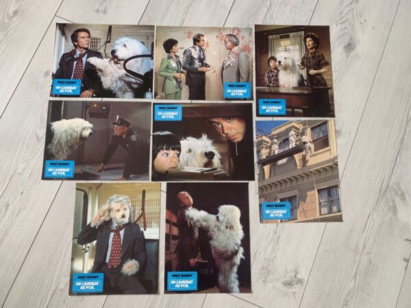 Un candidat au poil - Image 3