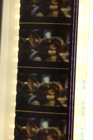 Morceau de pellicule 35mm du film Les Gremlins