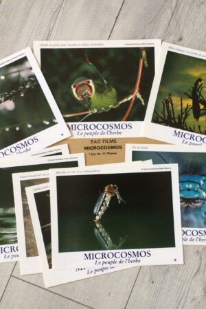 Jeu de photos d'exploitation originales de cinéma Microcosmos