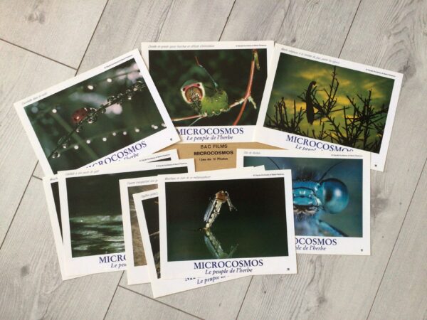 Jeu de photos d'exploitation originales de cinéma Microcosmos
